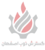 صبا فولاد زاگراس
